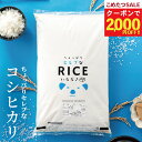 【クーポンで13,980円〜！1月21日(水)09:59まで！】米 20kg 送料無料 コシヒカリ 国内産 令和7年産 米20kg ちょっぴり…