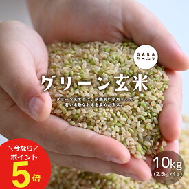 【今なら！ポイント5倍！〜4/27(土)09:59まで！】グリーン玄米 10kg(2.5kg×4袋) 玄米【送料無料】 送料無料 こめたつ 若い 未熟な 玄米 5年産 青玄米