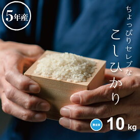 米 無洗米 10kg 送料無料 コシヒカリ 5kg×2 国内産 令和5年産 ちょっぴりセレブなコシヒカリ こしひかり 米 10kg 米10キロ 無洗米 送料無料 10kg お米 10kg 送料無料 備蓄米 非常用