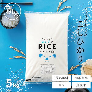 V  5kg  RVqJ Y ߘa7NY ҂ZuȃRVqJ Ђ  5kg 5L  5kg  5kg    ~p p ߂