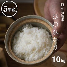 米 白米 10kg 送料無料 ヒノヒカリ 特別栽培米 農薬5割減 化学肥料5割減 熊本県産 令和5年産 米 10kg 送料無料 白米 お米 10kg 送料無料 米10kg 送料無料 こめたつ 備蓄米 非常用 ひのひかり