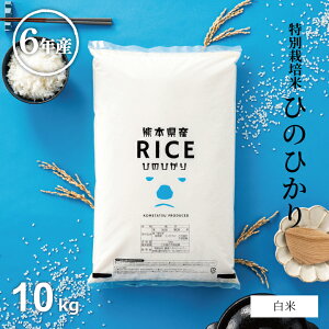 ߘa6NY   10kg  qmqJ ʍ͔| _5 w엿5 F{Y ߘa6NY  10kg    10kg  10kg  ߂ ~p p Ђ̂Ђ