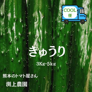 yŒZz  NX}X Ε _ƒ N[ LE VN Â  |  e ʏ  Ђ sNX T_ Vs z {Ђ 3Kg 5kg