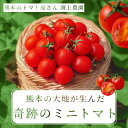＼他店と比べてください★本気の半額／ 送料無料 奇跡の ミニトマト トマト プチトマト 小鈴 千果 バレンタイン 混み…