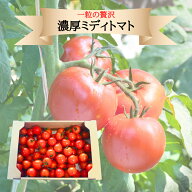 ＼ 6・7日限定★2500円！／ 鳳凰 送料無料 ミディトマト トマト 混みサイズ リコピン ビタミン スープ パ…