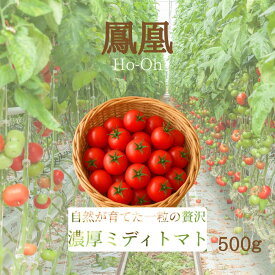 ＼楽天市場で先行販売開始／ 送料無料 鳳凰 ミディトマト トマト 500g お試し 味見 家庭用 プレゼント 贈り物 ギフト ご褒美 甘い 美味しい 減農薬 トマトジュース マリネ パスタ GABA リコピン 美容 健康 野菜ギフト 冷凍 渕上農園 熊本 ミニトマトより大きい