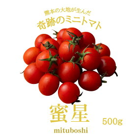 ＼楽天市場で先行販売開始／ 新商品 送料無料 お試し 蜜星 ミニトマト トマト フルーツトマト風 500g 甘い 美味しい 酸味 コク トマトジュース レシピ マリネ パスタ 野菜ギフト プレゼント ご褒美 農家直送 渕上農園 熊本