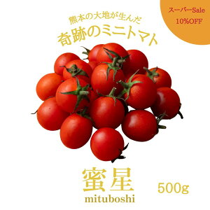 yX[p[Sale10OFFz _yVsŐs̔Jn^ Vi    ~jg}g g}g t[cg}g 500g NX}X Ε Â  _ RN g}gW[X 