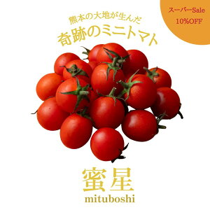 yX[p[Sale10OFFz _yVsŐs̔Jn^ Vi   ~jg}g g}g t[cg}g 1.5Kg NX}X Ε Â  _ RN g}gW[X Vs }