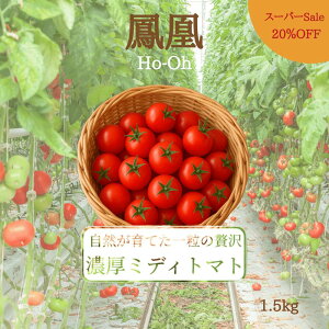 yX[p[Sale20OFFz _yVsŐs̔Jn^  P ~fBg}g g}g 1.5kg v[g 蕨 Mtg J Â  _ g}gW[X }l pX^ GABA 
