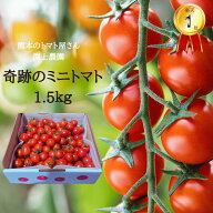 ＼ スーパーセール★半額／ 送料無料 奇跡の ミニトマト 1.5kg ギフト箱 トマト プチトマト 母の日 甘い …