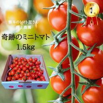 楽天市場】美味しい ミニ トマトの通販