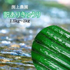  󂠂 イ ݃TCY F{ Yn VN ƒp {Ђ Ђ e   Â ̂Ȃ Ap _ _Ƃ̖󂠂 lC t