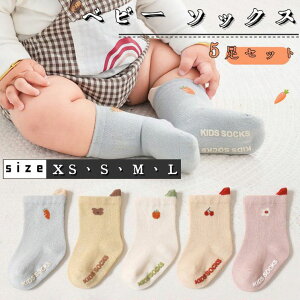 y}\ԒIzxr[ \bNX ~ 5Zbg xr[ C ~ߕt [\bNX LbY Ԃ ]|h~ KC Lk Rbg H ~  _炩