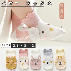 y}\ԒIzxr[ \bNX ~ 5Zbg xr[ C ~ߕt q C K  j  [\bNX LbY Ԃ ]|h~ KC Lk 