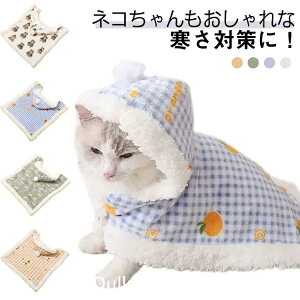  ѕz |` ybg t[X uPbg  ӂӂ  g  {A h Xqt U }g ybg    o H ~