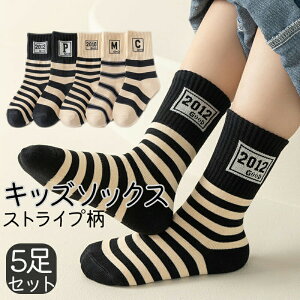 y}\ԒIzy5Zbgz LbYp \bNX ʊw ʉ C qp 킢 j̎q ̎q w qǂ xr[ ct ۈ牀 V[g   v[g n V