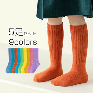 y5ZbgzC LbY nC\bNX O\bNX q ANX i ʋC \bNX Jt LbYC N[\bNX WjA ̎q j̎q ڗ  Cxgp H~ 