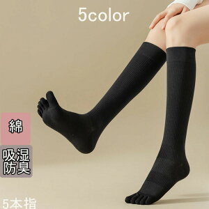 y}\ԒIzy2Zbgz\bNX 5{w VFCv\bNX nC\bNX C fB[X Y t  H~  g ₦Ƃ d˗ hL n {[_[ J