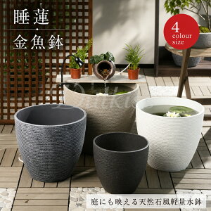 睡蓮鉢 特大」の人気商品一覧・価格比較 - 価格.com