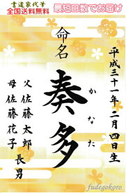 【命名書筆耕歴30年！書家 代筆 】営業日正午までのご注文で即日発送可♪【送料無料】男女兼用ラミネート和風命名書☆和柄命名書シンプル☆おしゃれ【ネコポス速達便送料無料】「命名書 A4ラミネート梅霞」【手書き・筆文字】【出産祝い命名用紙】代筆