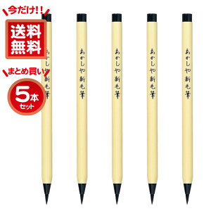  VѕMi₵Ђj SA-300 1{/5{ ޗǕMV  ѕM^Cv ubN  F   I  c jV ׎  [ ML