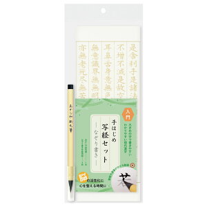  ͂ߎʌoZbg AZ-SA300 My ѕM^Cv ʌop r Ȃ菑 { ʎSo ]g ] 傫 ₷ ㊿ p  ɂ܂Ȃ ȒP y Cy 