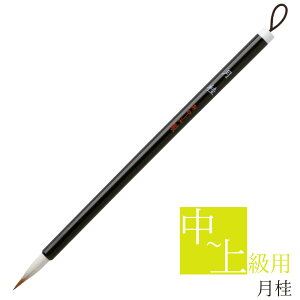  pM j AS-104 M ޗǕM וM M ѕM җp ㋉җp l̏ K ׎ 莆 ͂   ւ C^` n  d  8 T N 