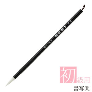  pM ʊyi債炭j PS-51 M ޗǕM וM M ѕM 8 Op ʎ K  K  w w  |GXe l d 