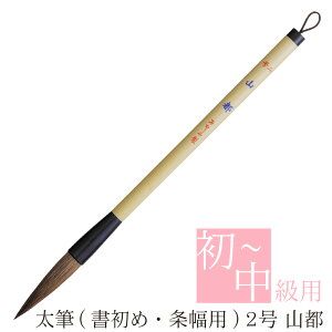  ߗpM Rs 2 AJ-132 M ޗǕM M ѕM Sҗp  җp w w ʋ K wZ wp RN[ ċx h _} 𕝍ip 