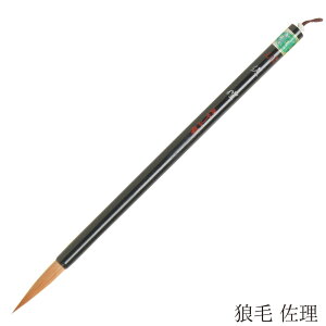  pM T  4963095050816 ޗǕM 𕝗p  N C^` d ѕM  K p ȗp ip 낤 