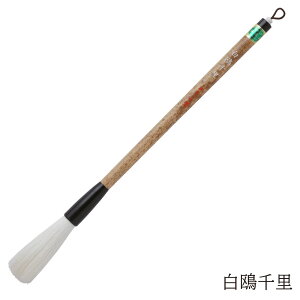  pM 痢 4963095062598 ޗǕM M p  K K    s  ip W  N _炩 r Rr JM ΂ 1`2 ͂