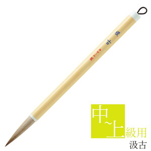  pM  PL-154 2 M M ѕM ޗǕM Kp     ㋉ p  s N n Rr K  d M K 3 n 