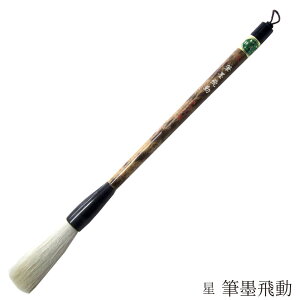  pM Mn  4963095040251 M ޗǕM M ѕM   𕝗p JM _炩  r N rэגN Rr 𕝗p ЂڂЂǂ ق