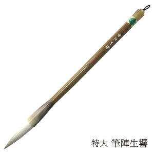  pM Mw  4963095041258 M ޗǕM M ѕM   𕝗p _炩  r Rr n N rэ׌N ԓV 𕝗p Ђ񂹂傤 Ƃ