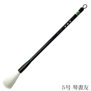  pM ՏF 5 4963095043030 M ޗǕM M ѕM   𕝗p JM _炩  r Rr N rёeN 𕝗p 񂵂䂤 5