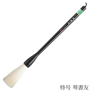  pM ՏF  4963095043054 M ޗǕM M ѕM   𕝗p JM _炩  r Rr N rёeN 𕝗p 񂵂䂤 Ƃ