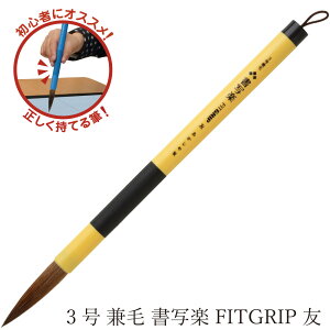  pM 3 яʊyFITGRIP F AL-F100 M p Sҗp w w  K  pM  l j̎q ̎q ޗǕMV tBbgObv    