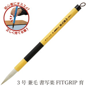  pM 3 яʊyFITGRIP  AL-F101 M p Sҗp w w  K  pM  l  j̎q ̎q ޗǕMV tBbgObv   