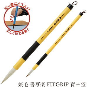 あかしや 書道用筆 兼毛書写楽 二本組B ALS-F160B 書道筆 奈良筆老舗 2本セット 太筆 細筆 3号 8号 毛筆 小学校 中学校 習字 授業 書写教室 初心者用 入門用 半紙 名前書き 買い替え 入学準備 友