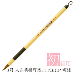  pM 8 lяʊyFITGRIP ZN ASP-F50 וM S wZ  K w w iCM ѕM M 8  |GXe l d ZN 