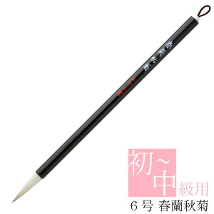  pM tHe PM-50 ޗǕM ѕM M M  O ߗp Zp  K Sҗp җp җp  r n Rr K 6 n d N  F