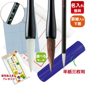 【太筆名入れあり】水書き用紙&ふきん付き！送料無料！あかしや 書初めセット スタンダード4点セット 試し書き用水書用紙付き 書き初めセット 半紙三枚判 3枚判 書写 習字 授業用 小学校 小学生 中学生 太筆 細筆 中筆 下敷 罫線付き 毛筆 書道筆 宿題 コンクール 教材