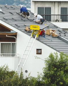 yg[[R[Pz\[[plݒup׏グ@ pl{[C@PV-MZ4iEC`{nVSꎮ̃Zbgij