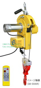 �y�g�[���[�R�[�P���z��{�|���x�r�[�z�C�X�gDB-E820R �i460kg�E�g��10m�j�������X�C�b�`1��