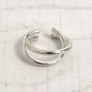 sAXƏd˒mz[hɂ߁gC[JthyЎpNXt[vC[Jtz[fB[X  킢 v`v  mz[sAX CO]