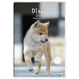 y2026NxŎ蒠z iJoV m[g_CA[ 2026 ^A6^1 NS-A601-26DO1 y|Xg1zyCHIz