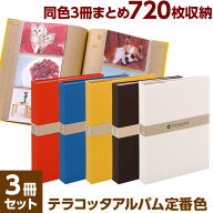 【最大1000円OFFクーポン配布中】【日本製】【同色3冊セット】アルバム ナカバヤシ 布クロスアルバム Ter…