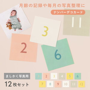 ͏o ܂ eʃAoJ[h GAL-C-01 io[J[hyCHIzy|Xg1z