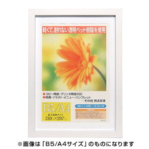 C^ ai FRAME OAz K[x zCg B4 GM-154WH-B4 B4TCY yʐ^ tHgt[ vgt[ ʐ^z zz #300# #301#yCHIz